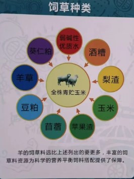 屏幕截图 2024-12-23 102119.jpg