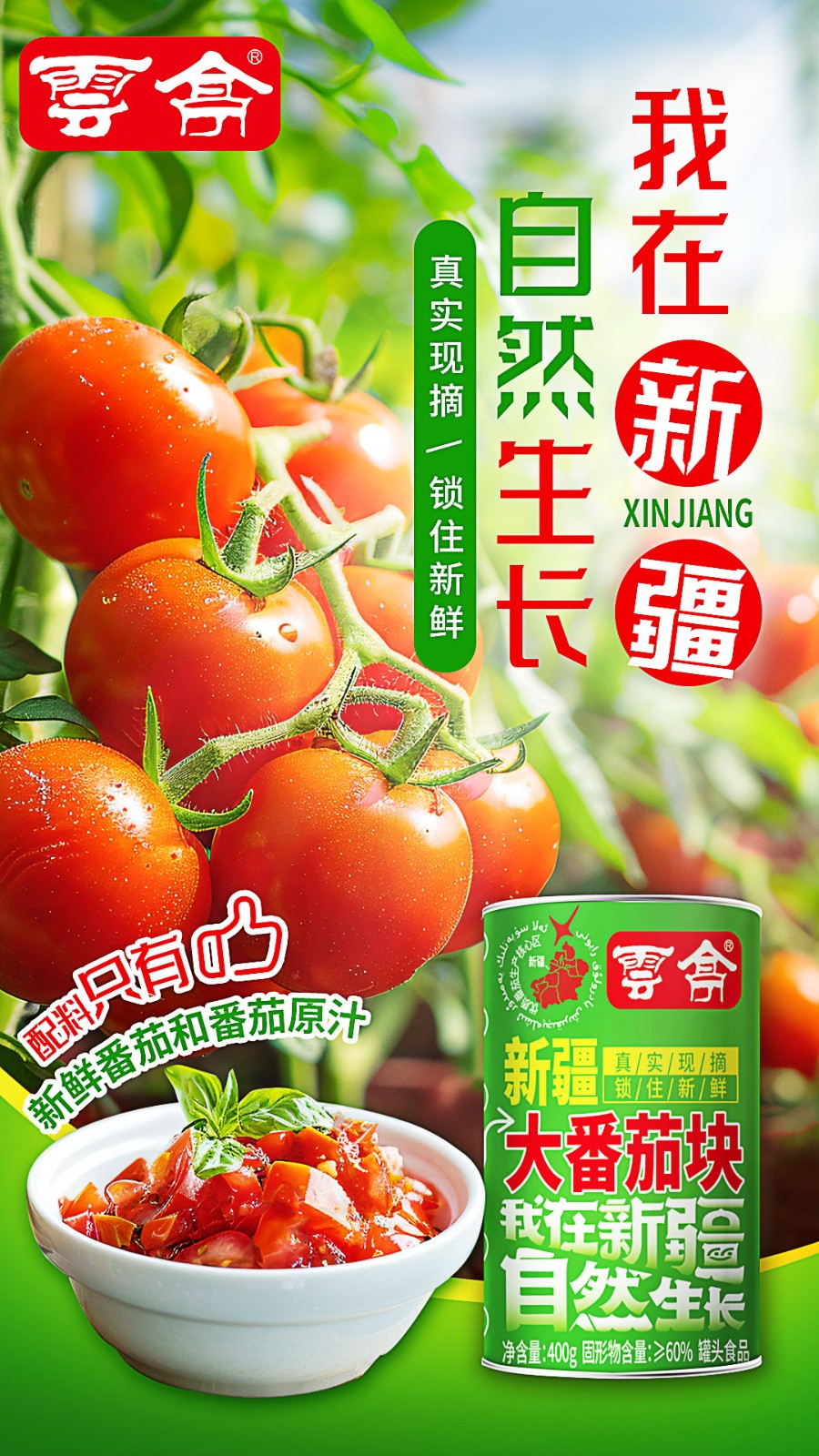 微信图片_20241223105652.jpg
